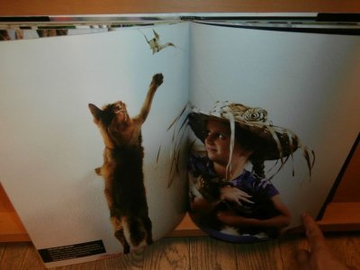 画像2: 洋書 猫写真集 Cats 24/7 Extraordinary Photographs of Wonderful Cats 子猫/猫/ネコ/ねこ