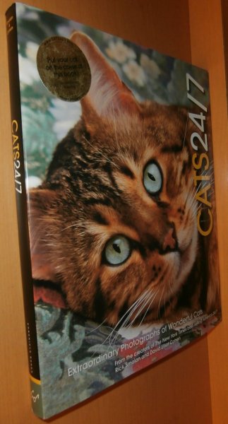 画像1: 洋書 猫写真集 Cats 24/7 Extraordinary Photographs of Wonderful Cats 子猫/猫/ネコ/ねこ (1)