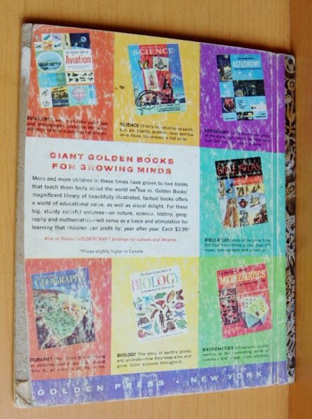 画像2: 洋書絵本 LASSIE AND HER DAY IN THE SUN 名犬ラッシー (2)