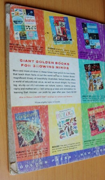 画像3: 洋書絵本 LASSIE AND HER DAY IN THE SUN 名犬ラッシー (3)