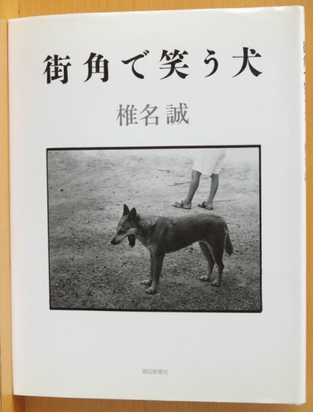 画像2: 椎名誠 街角で笑う犬 初版帯付 町角で笑う犬 (2)