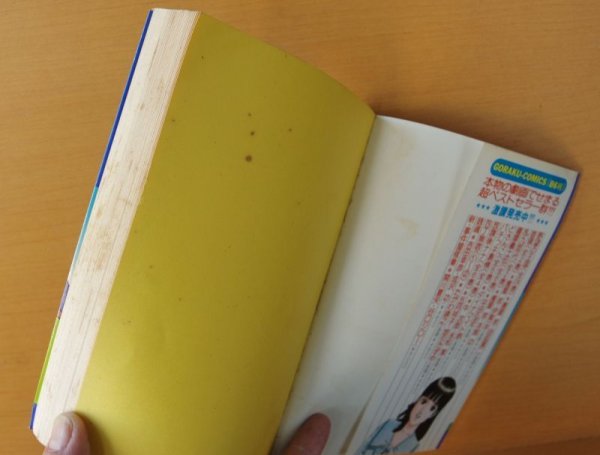 画像3: 谷岡ヤスジ ヤスジのドッチラケ節 (3)