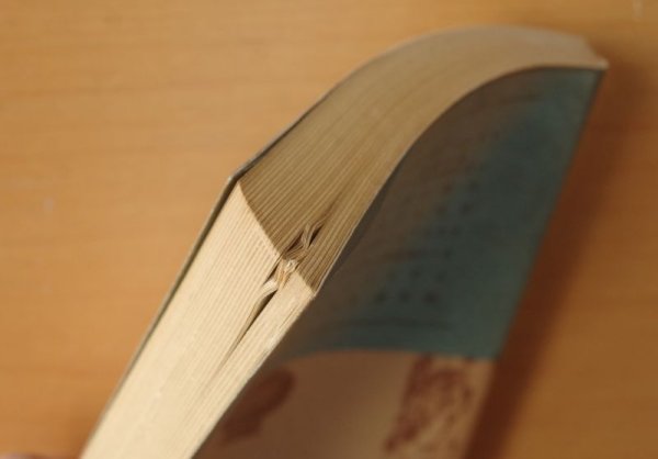 画像4: ギボン ローマ帝国衰亡史 1-4巻 4冊セット 岩波文庫 (4)