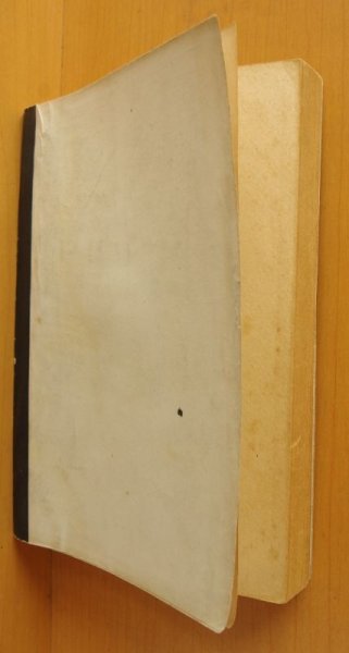 画像2: グレーグ・ライス 怒りの審判 新樹社ぶらっく選書12 ブラック選書 グレーグライス/グレイグ・ライス  (2)