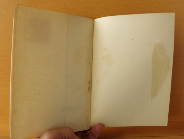 画像5: グレーグ・ライス 怒りの審判 新樹社ぶらっく選書12 ブラック選書 グレーグライス/グレイグ・ライス  (5)