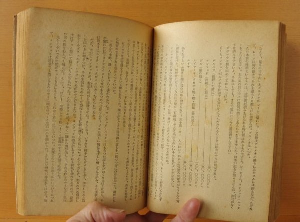 画像7: エラリー・クイーン Yの悲劇 新樹社 ぶらっく選書10 ブラック選書 エラリークイーン/エラリークィーン (7)