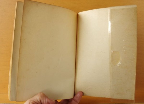 画像6: エラリー・クイーン Yの悲劇 新樹社 ぶらっく選書10 ブラック選書 エラリークイーン/エラリークィーン (6)