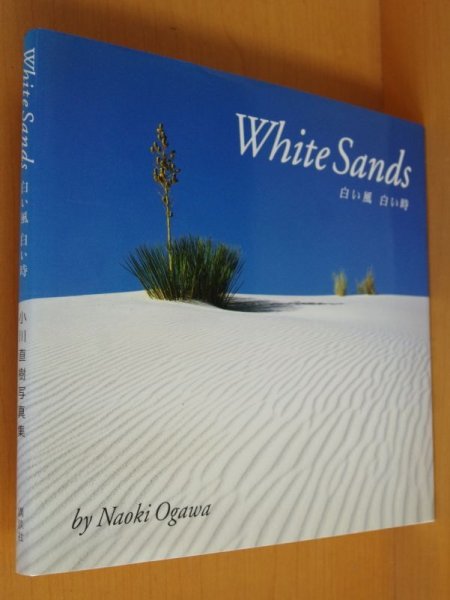 画像1: 小川直樹 写真集 White Sands 白い風 白い時 ホワイトサンズ 小川直樹写真集  (1)