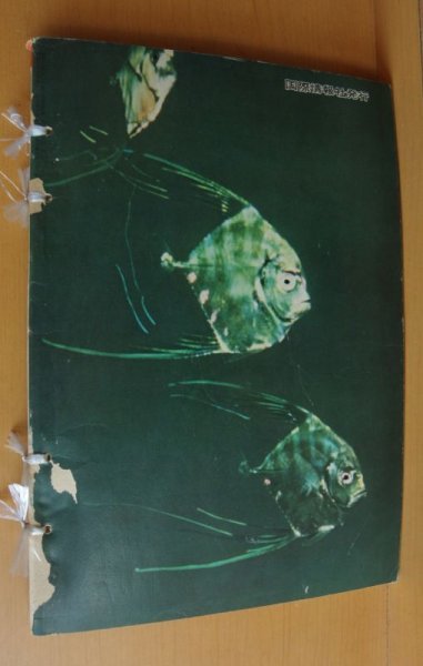 画像2: こども科学館 1961年16号 うみのさかな/戸川幸夫x山川惣治/海の魚/昭和36年/昭和レトロ/子供科学館 (2)