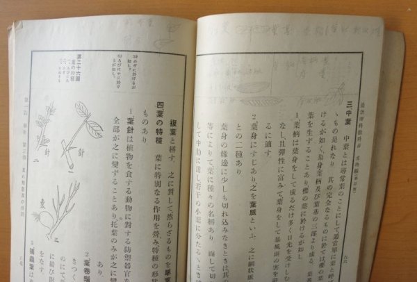 画像6: 高橋章臣 最新理科教科書 博物篇 東京寶文館 大正12年 (6)
