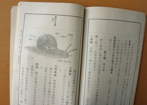 画像8: 高橋章臣 最新理科教科書 博物篇 東京寶文館 大正12年 (8)