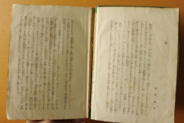 画像5: 東健而 ユーモア突進 現代ユウモア全集21 東健而集 昭和5年 (5)