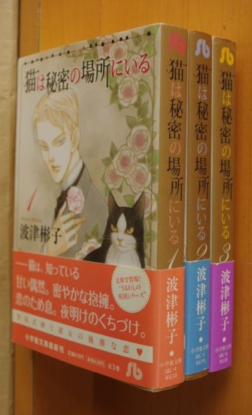 画像2: 波津彬子 猫は秘密の場所にいる 全3巻 初版帯付 小学館文庫 (2)