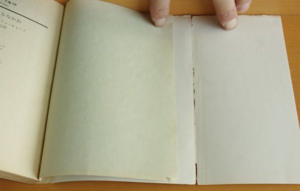 画像2: L・スプレイグ・ディ・キャンプ 闇よ落ちるなかれ 初版  Lスプレイグディキャンプ (2)