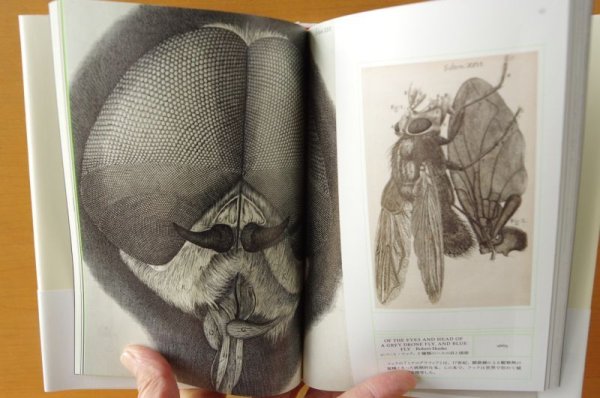 画像3: うつくしい博物画の記録 しぜんをしるためのえほん ウェルカム・コレクション/編 美しい博物画の記録/細密画 (3)