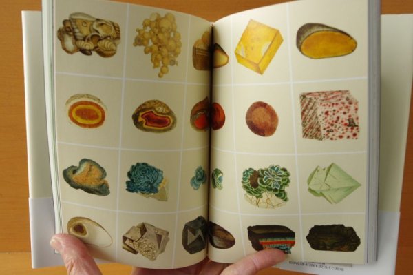 画像2: うつくしい博物画の記録 しぜんをしるためのえほん ウェルカム・コレクション/編 美しい博物画の記録/細密画 (2)