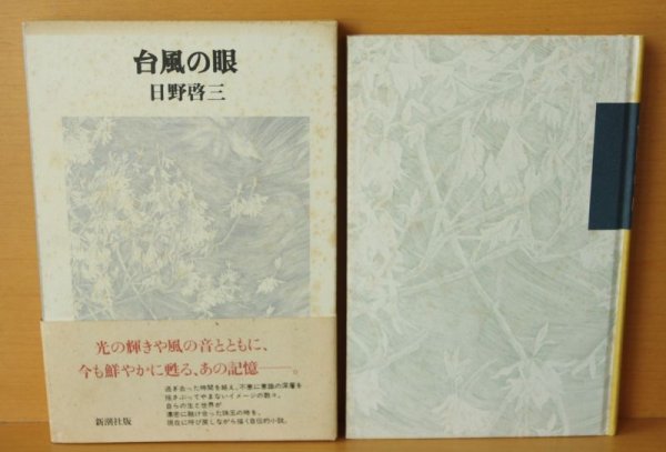 画像3: 日野啓三 台風の眼 初版帯付 台風の目 (3)