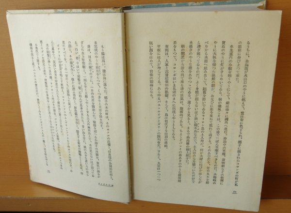 画像9: 谷譲次 踊る地平線 中央公論社版 昭和4年8版 函 (9)