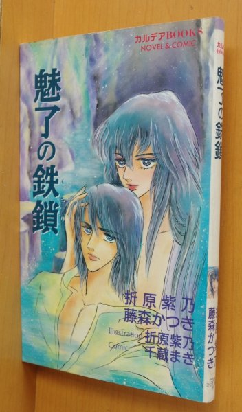 画像1: 折原紫乃 藤森かつき 魅了の鉄鎖 カルデアBOOKS NOVEL&COMIC (1)