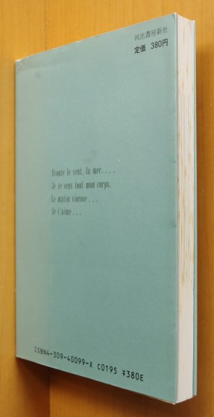 画像2: 小林麻美 ブルーグレイの夜明け 河出文庫 (2)