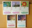 画像3: 泉鏡花 鏡花幻想譚 全5巻 龍潭譚の巻/海異記の巻/月夜遊女の巻/絵本の春の巻/天守物語の巻 (3)