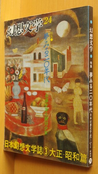 画像1: 幻想文学 24 夢みる20年代/日本幻想文学史3 大正-昭和篇 矢川澄子/天沢退二郎/尾崎翠ほか (1)