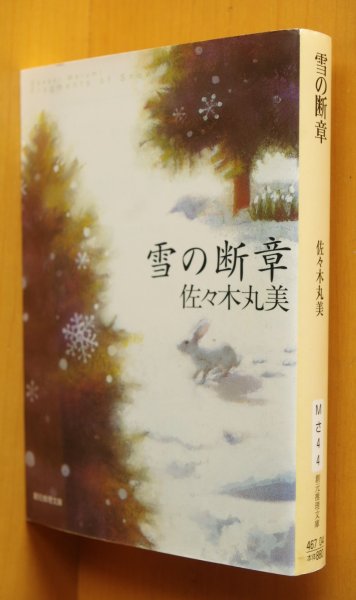 画像1: 佐々木丸美 雪の断章 創元推理文庫 (1)