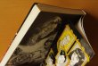 画像3: 三原一晃 恐怖バラ屋敷 立風書房レモンコミックス 恐怖薔薇屋敷 (3)