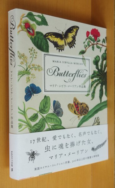 画像1: マリア・シビラ・メーリアン作品集 Butterflies 初版帯付 マリアシビラメーリアン作品集 バタフライズ (1)