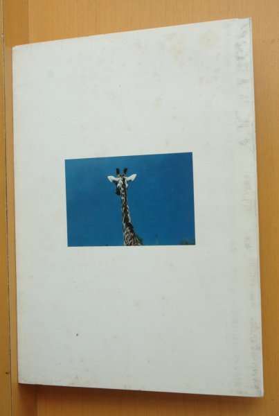 画像4: 内藤忠行 アフリカのうた キヤノンクラブ アフリカの歌/アフリカの唄 (4)