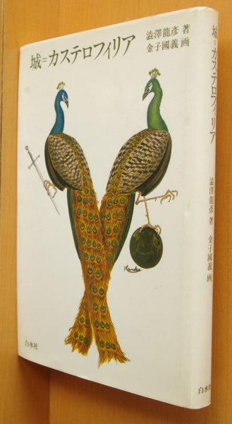 画像1: 澁澤龍彦 城=カステロフィリア 金子国義/画 (1)