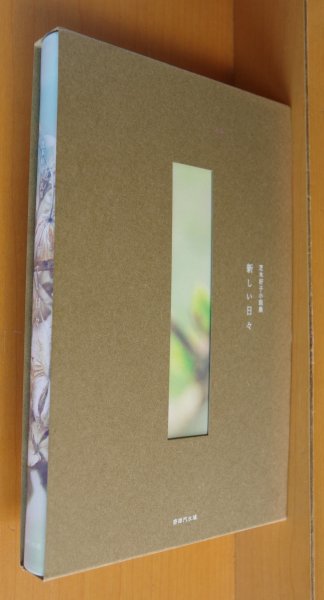 画像1: 別紙付き 芝木好子 新しい日々 芝木好子小説集   (1)