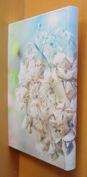 画像3: 別紙付き 芝木好子 新しい日々 芝木好子小説集   (3)